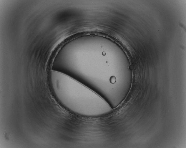 X0000093580975200710150954