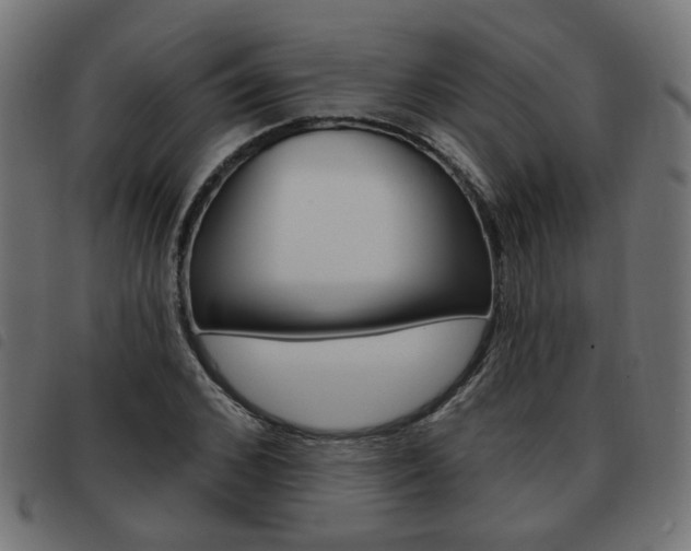 X0000093580976200710150954