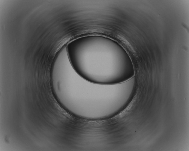 X0000093580977200710150954