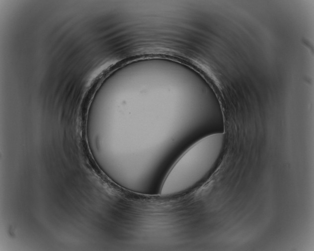 X0000093580979200710150954