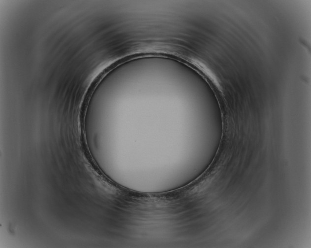 X0000093580980200710150954