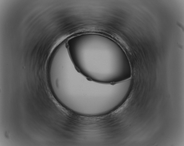 X0000093580981200710150954