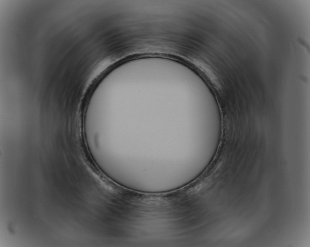 X0000093580982200710150954