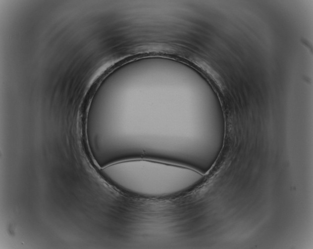 X0000093580983200710150954