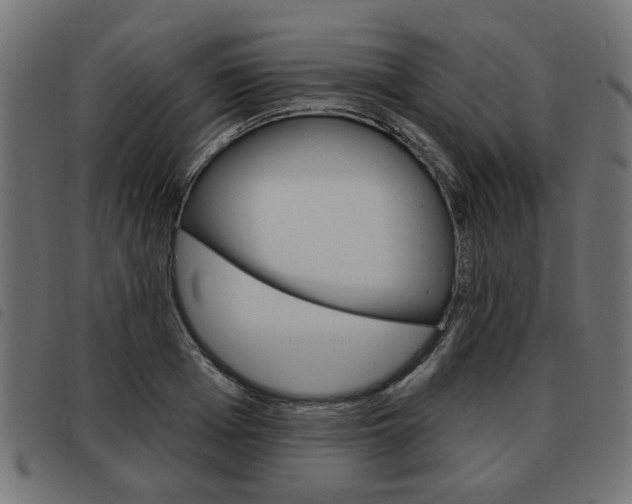 X0000093580985200710150954