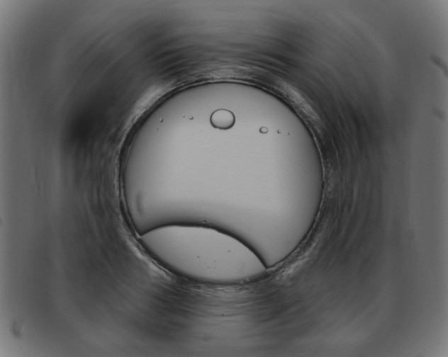 X0000093580986200710150954