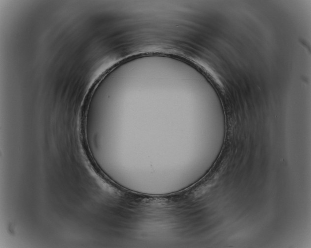 X0000093580991200710150954