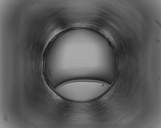 X0000093580992200710150954