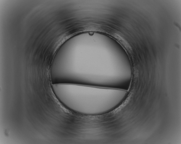 X0000093580993200710150954