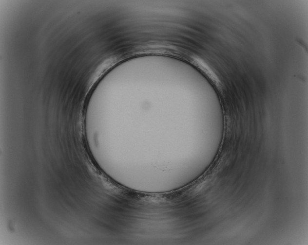 X0000093580994200710150954