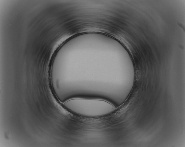 X0000093580995200710150954