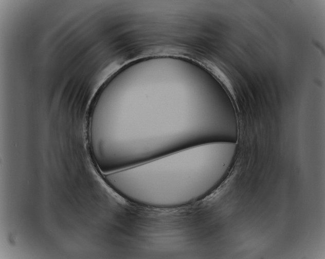 X0000093580997200710150954