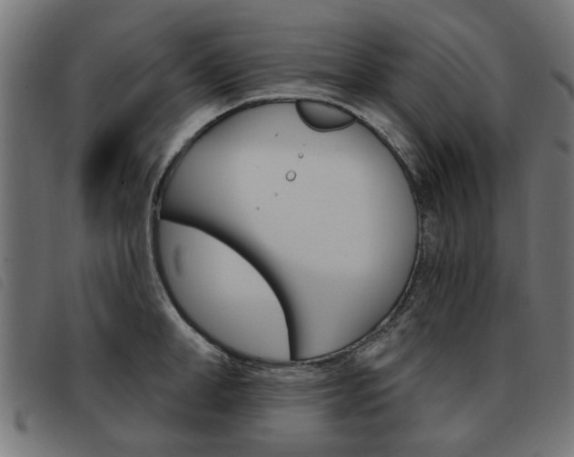 X0000093580998200710150954