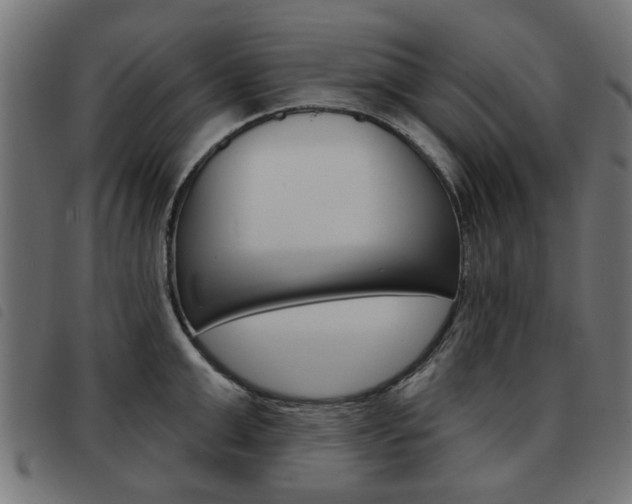 X0000093580999200710150954