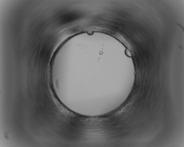 X0000093581000200710150954