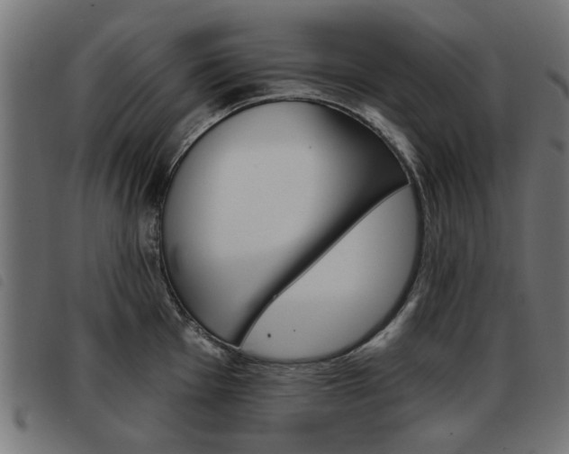 X0000093581001200710150954