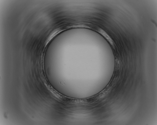 X0000093581002200710150954
