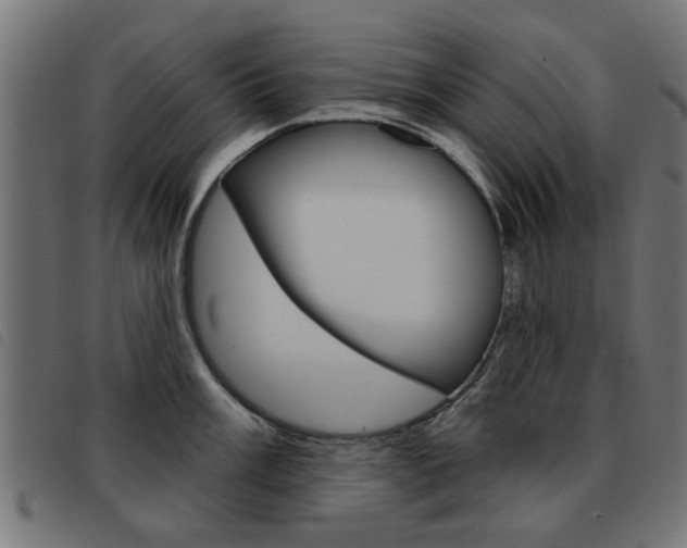 X0000093581003200710150954