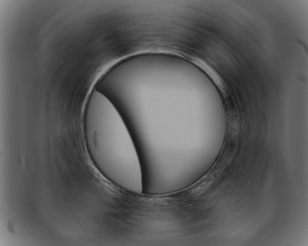 X0000093581004200710150954
