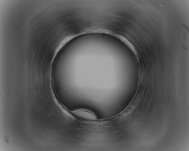X0000093581005200710150954