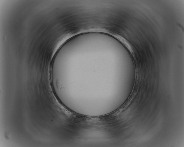 X0000093581006200710150954