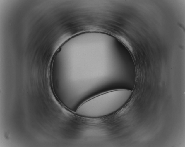 X0000093581007200710150954