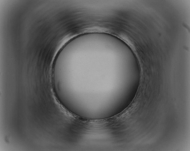 X0000093581008200710150954