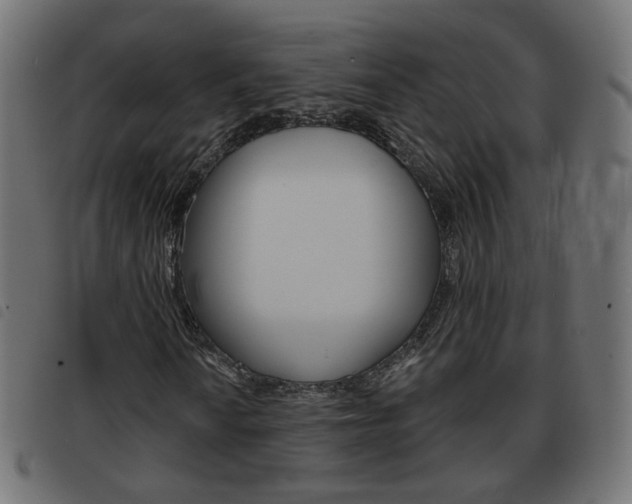 X0000093581010200710150953