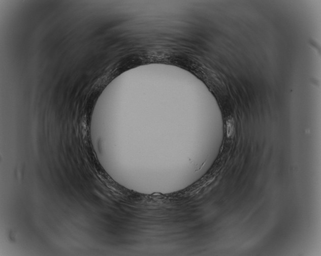 X0000093581011200710150953
