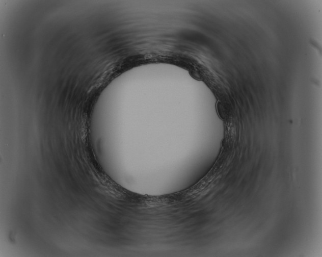 X0000093581012200710150953