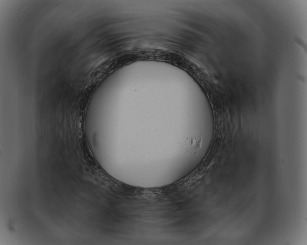 X0000093581013200710150953