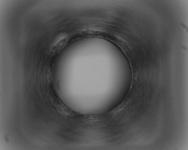 X0000093581014200710150953