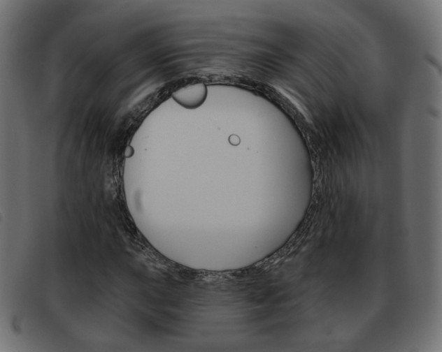 X0000093581015200710150953