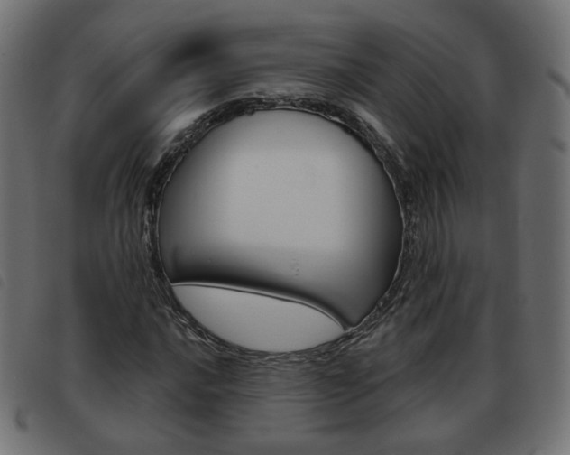 X0000093581016200710150953