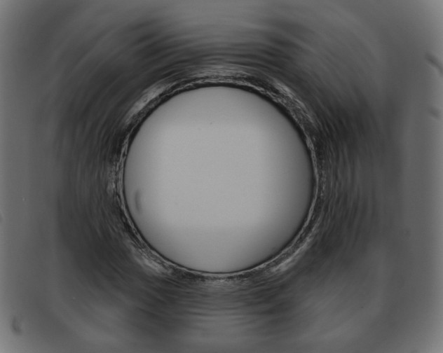 X0000093581017200710150953