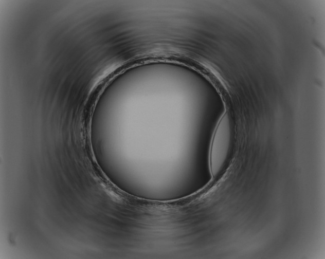 X0000093581018200710150953