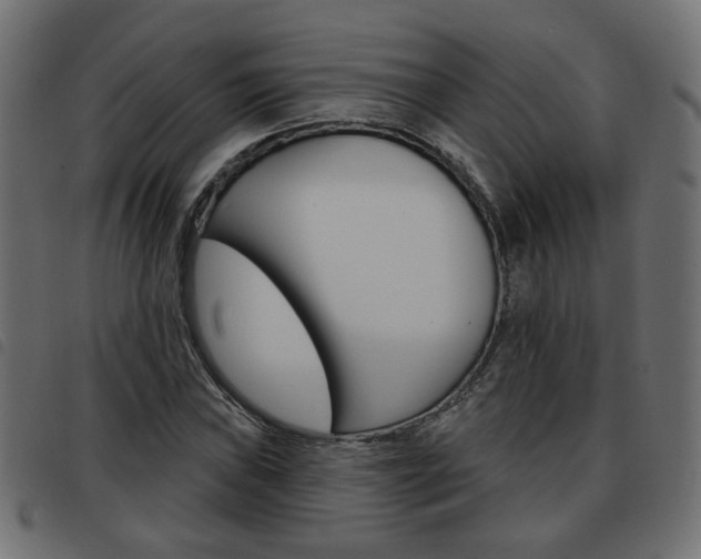 X0000093581019200710150953