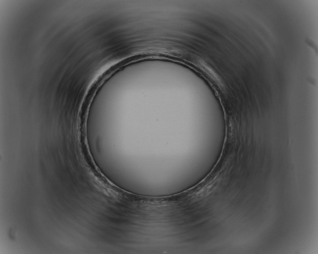 X0000093581020200710150953
