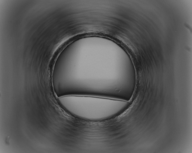 X0000093581021200710150953