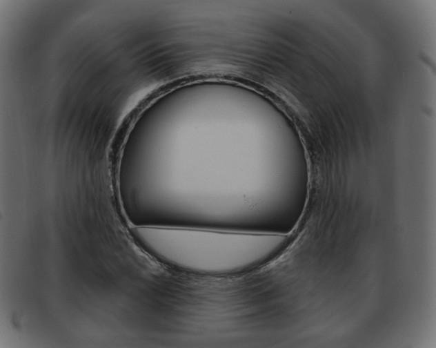 X0000093581022200710150953