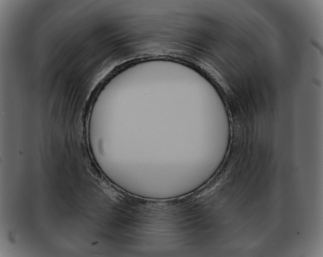 X0000093581023200710150953