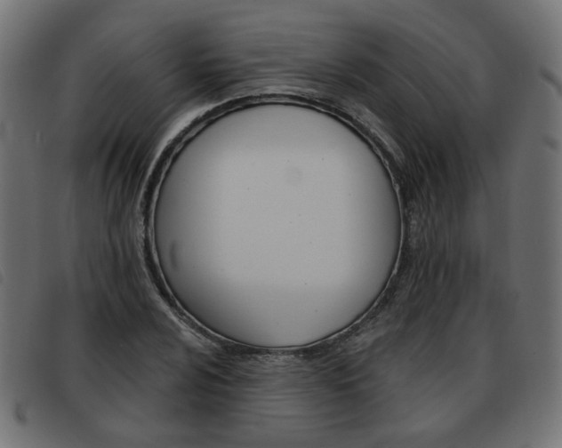X0000093581024200710150953