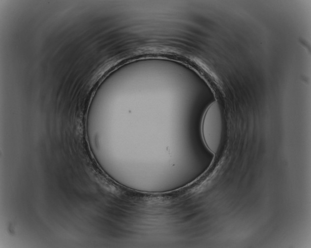 X0000093581025200710150953