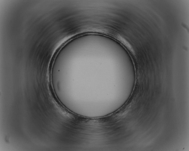 X0000093581028200710150953