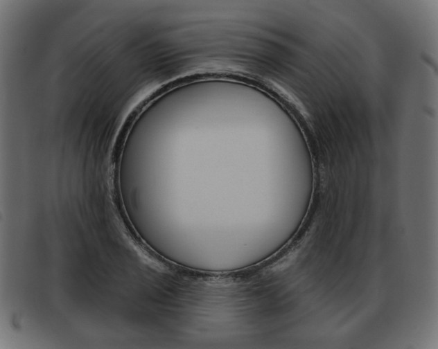 X0000093581029200710150953