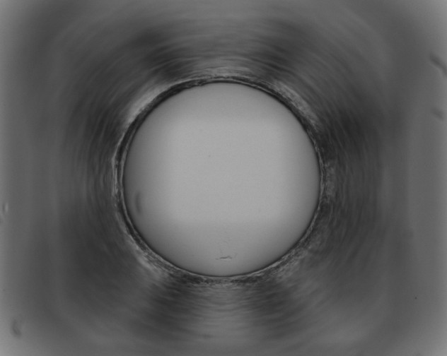 X0000093581031200710150953
