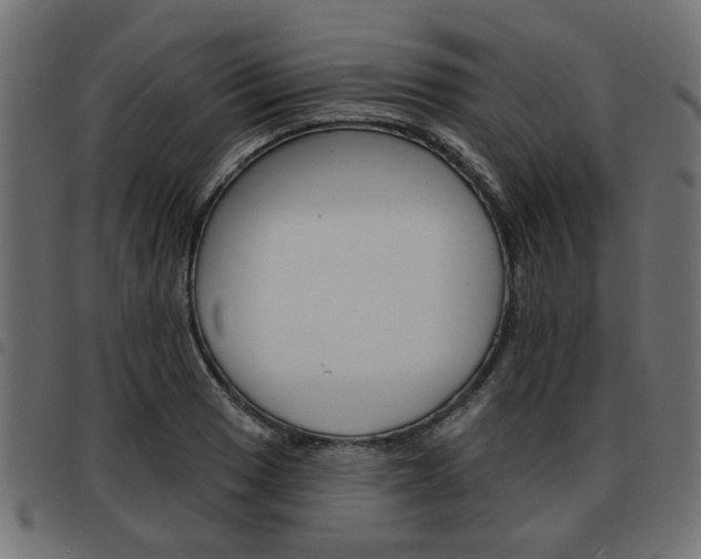 X0000093581033200710150953