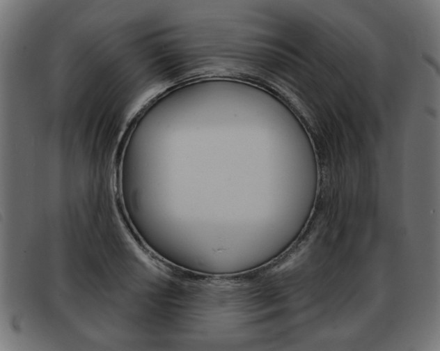 X0000093581034200710150953