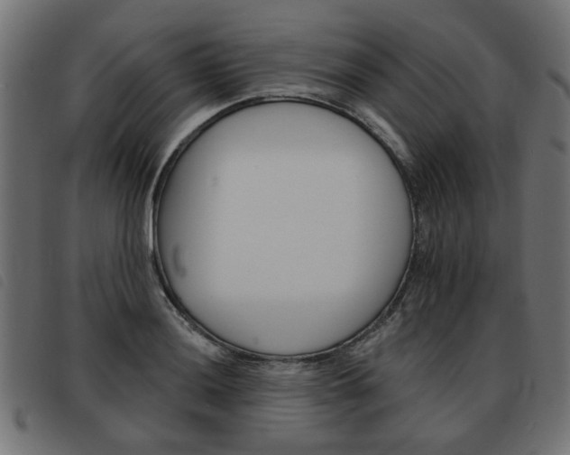 X0000093581036200710150953