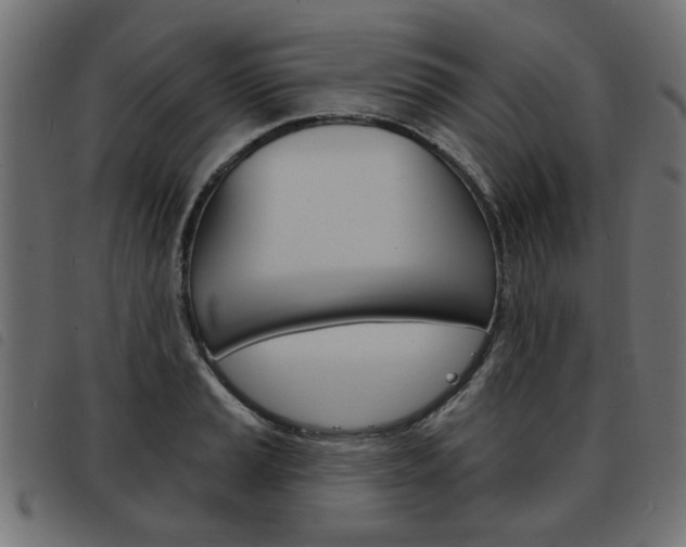 X0000093581037200710150953
